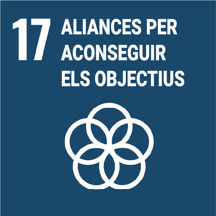 Alianzas para lograr los objetivos - Agenda 2030